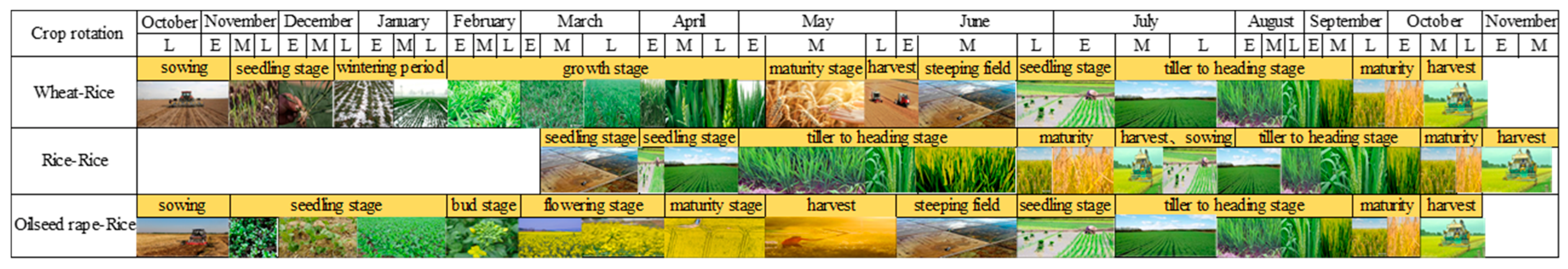 Agronomy 13 02350 g002