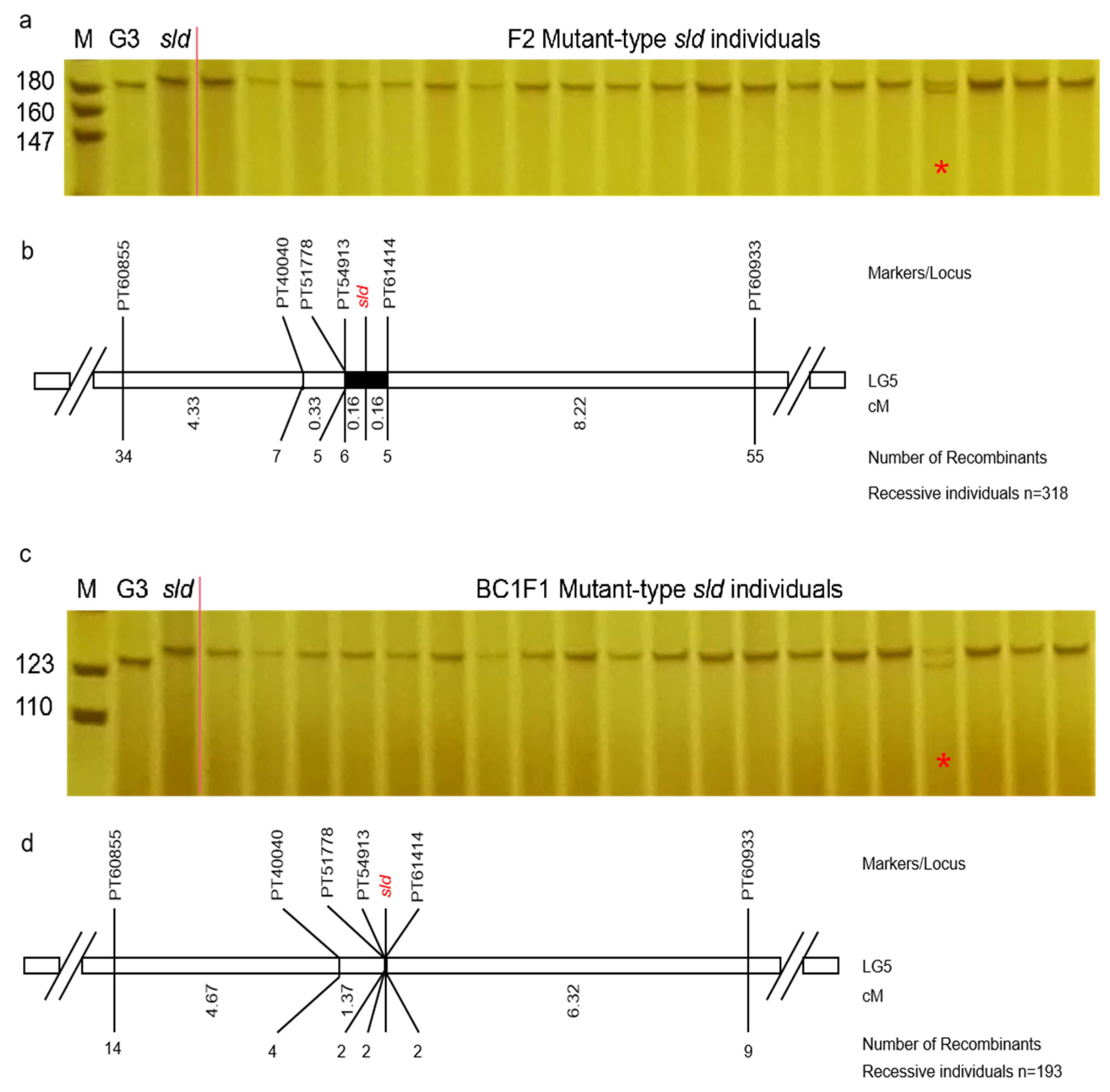 Agronomy 13 02354 g003