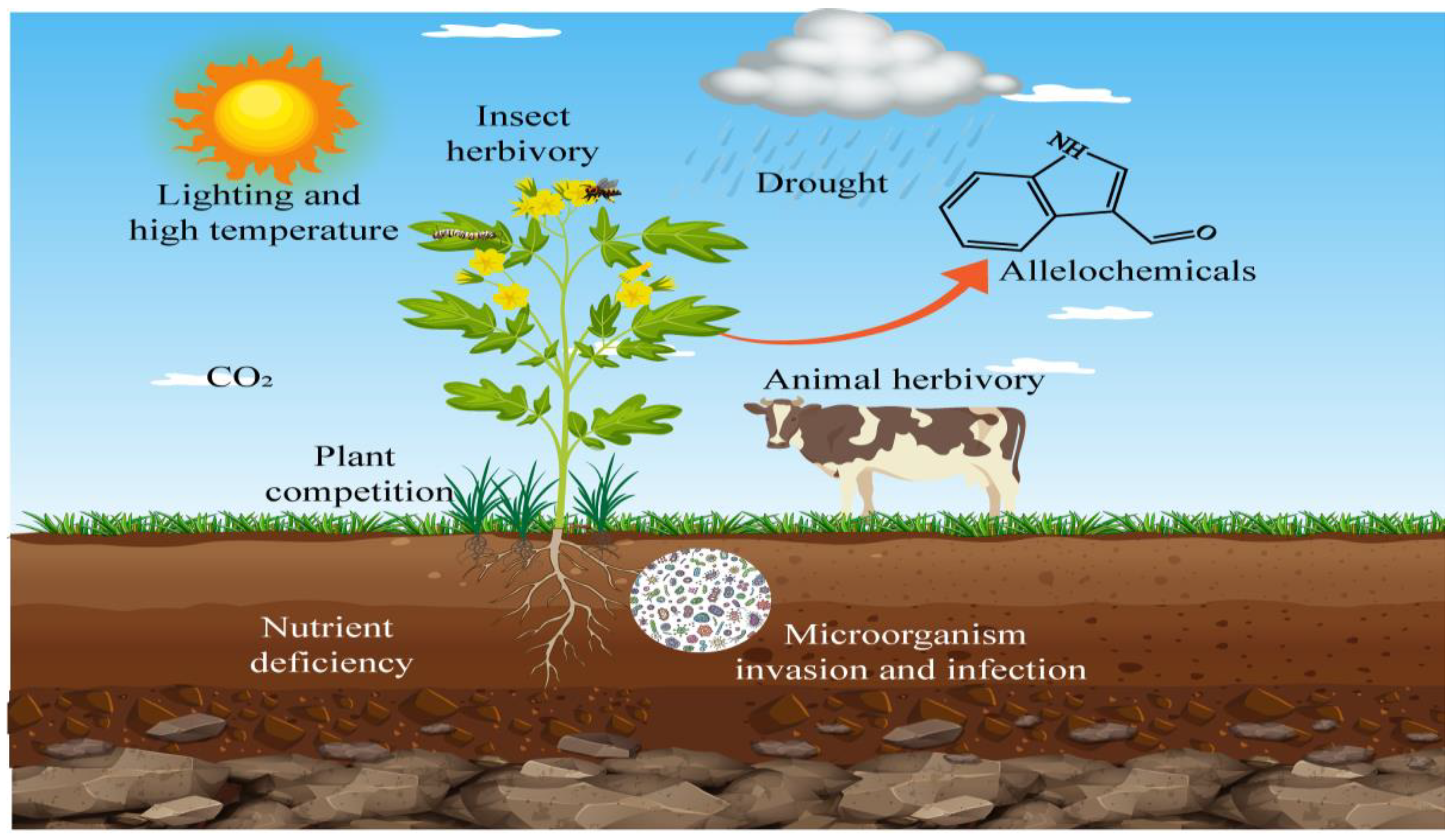 Agronomy 13 02358 g001