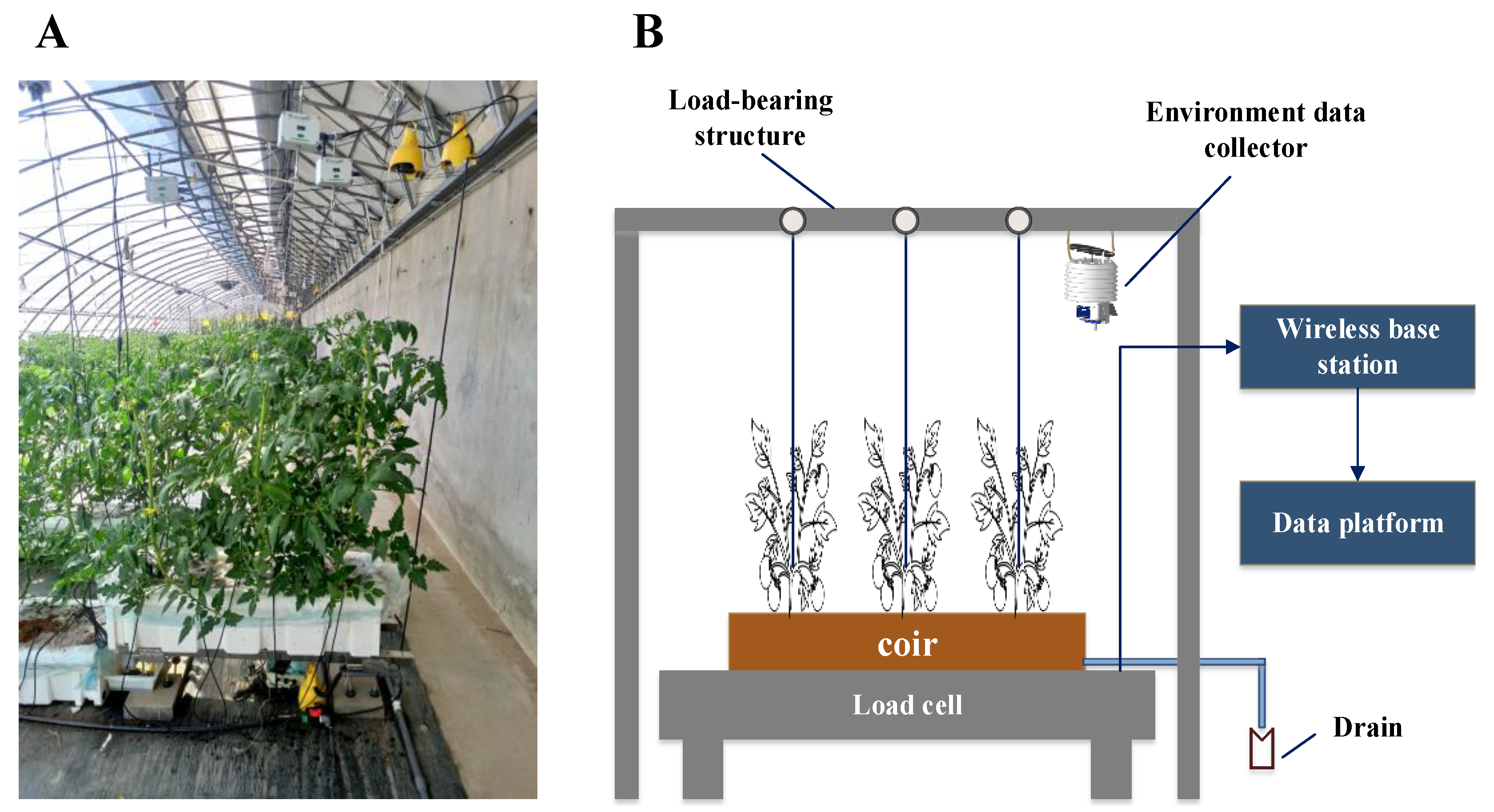 Agronomy 13 02371 g001 Agronomy 13 02371 g001