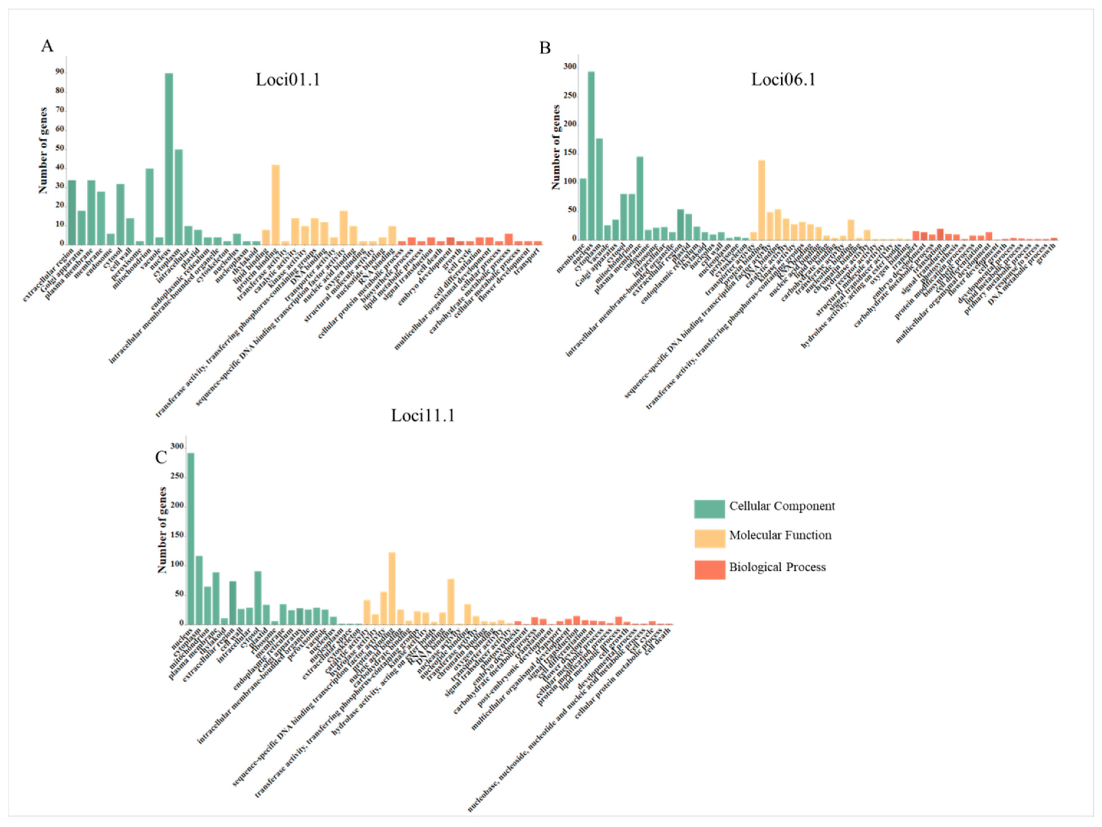 Agronomy 13 02382 g004