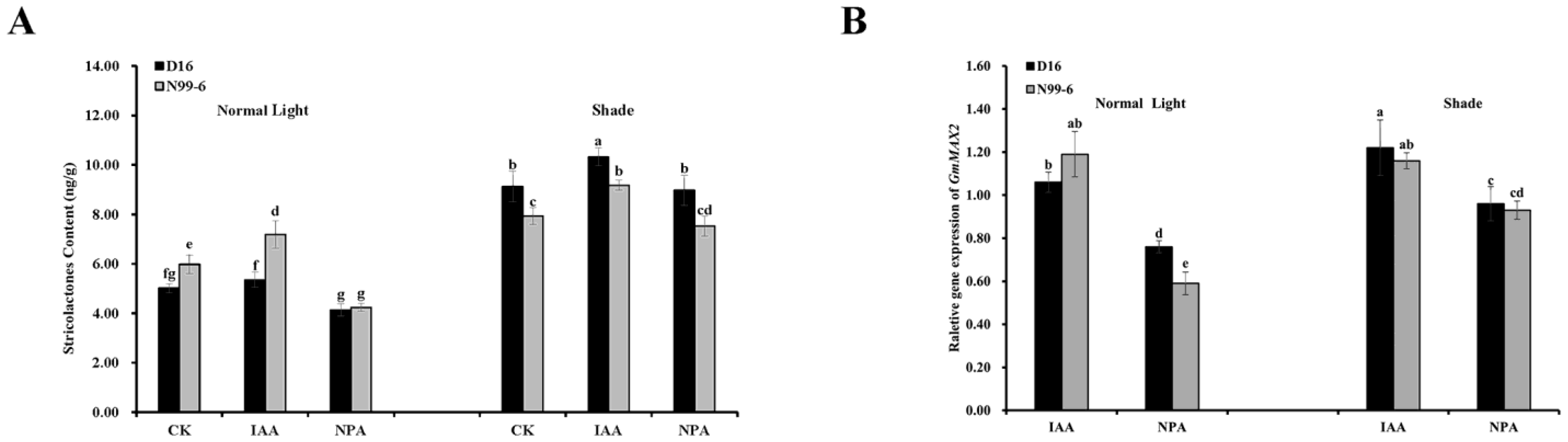 Agronomy 13 02383 g006