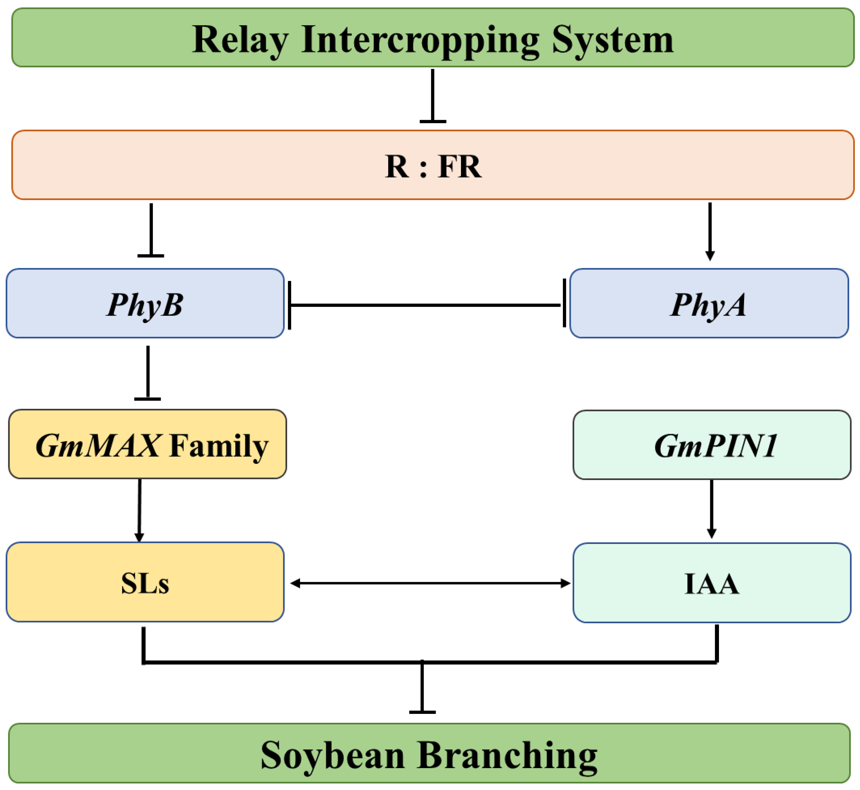 Agronomy 13 02383 g008