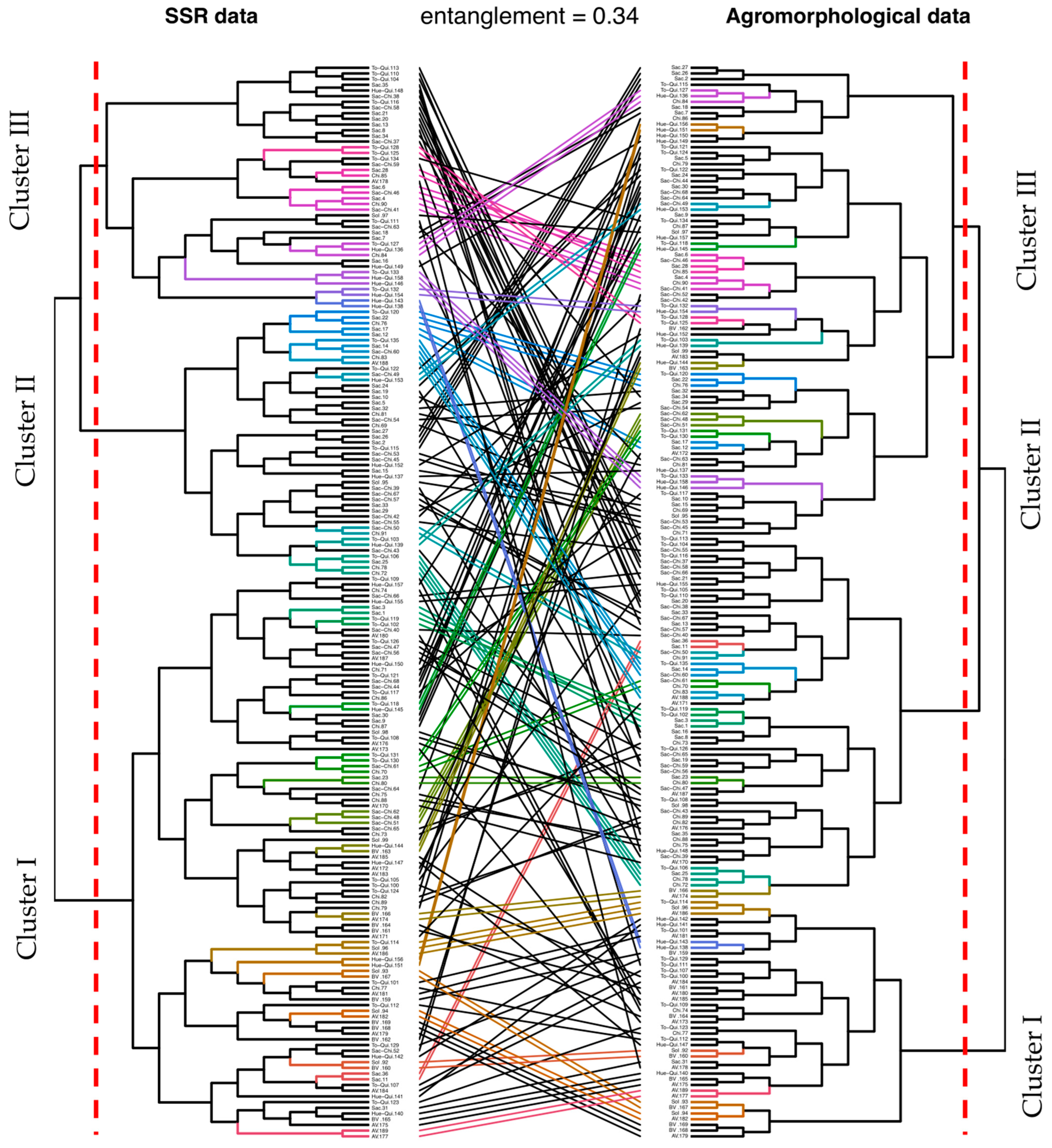 Agronomy 13 02385 g004