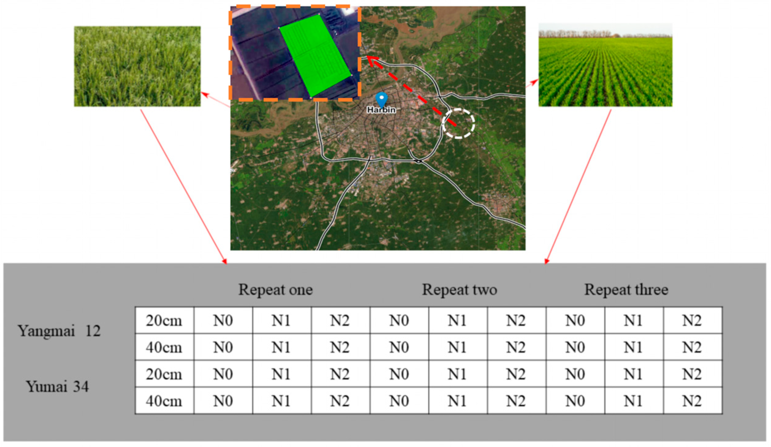 Agronomy 13 02387 g001