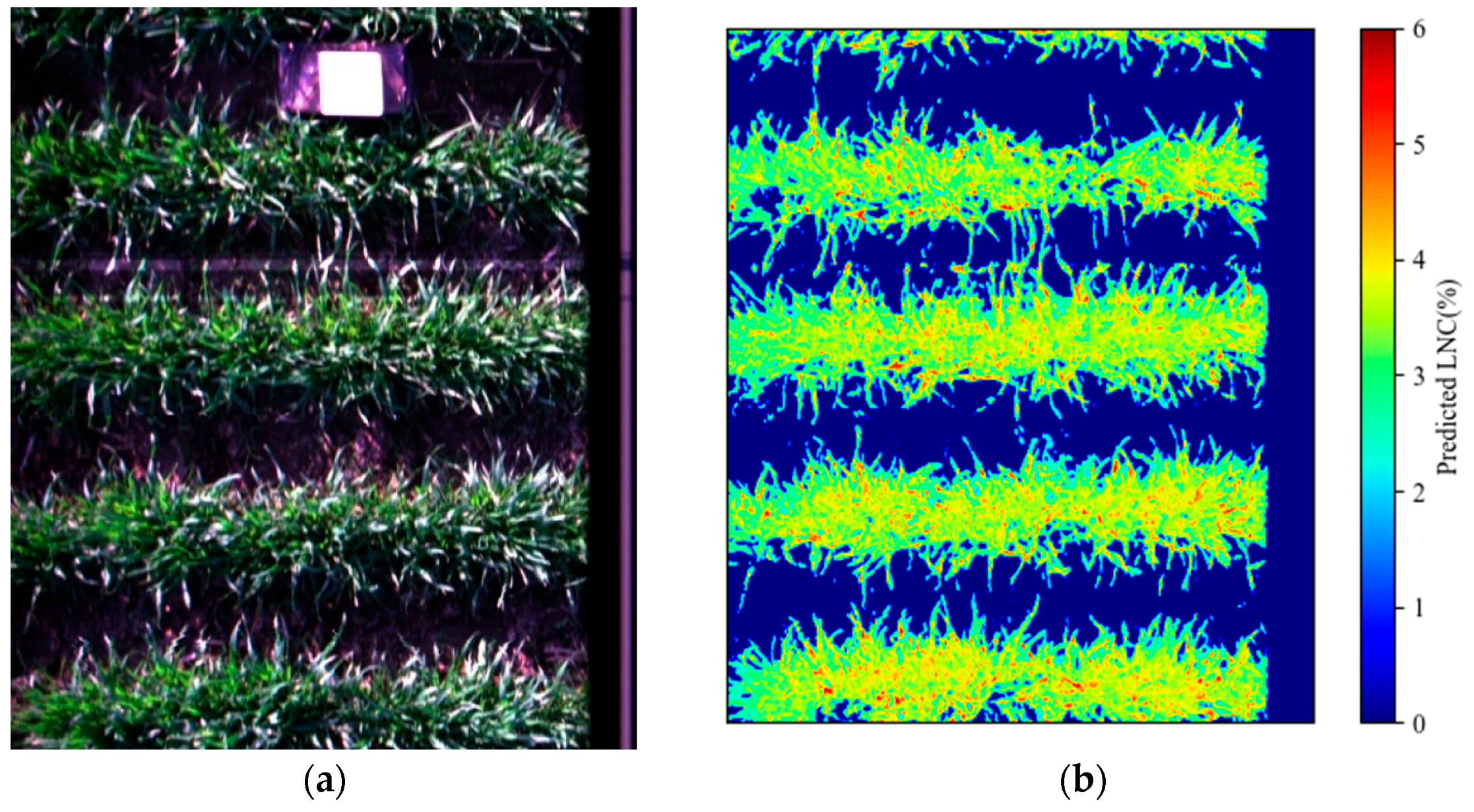 Agronomy 13 02387 g010
