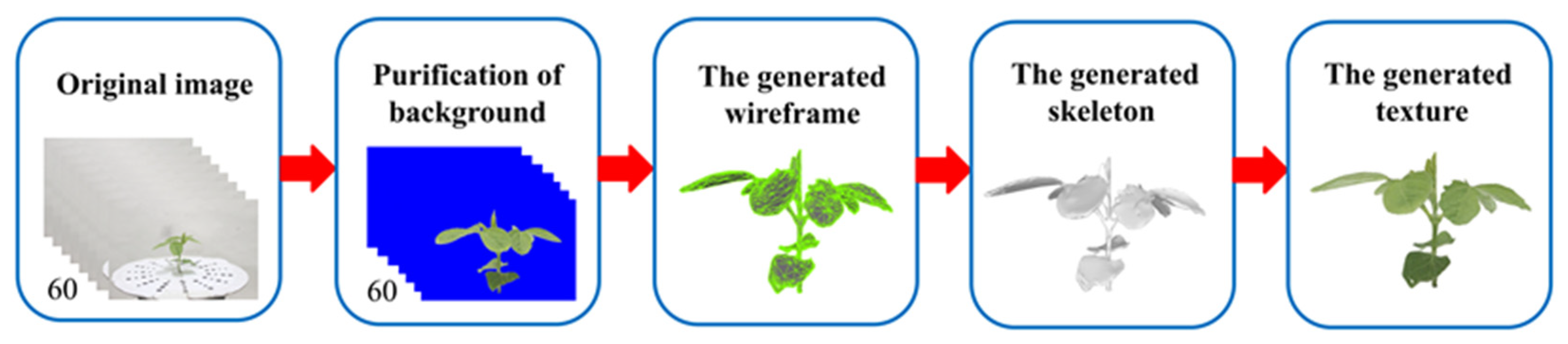 Agronomy 13 02388 g004