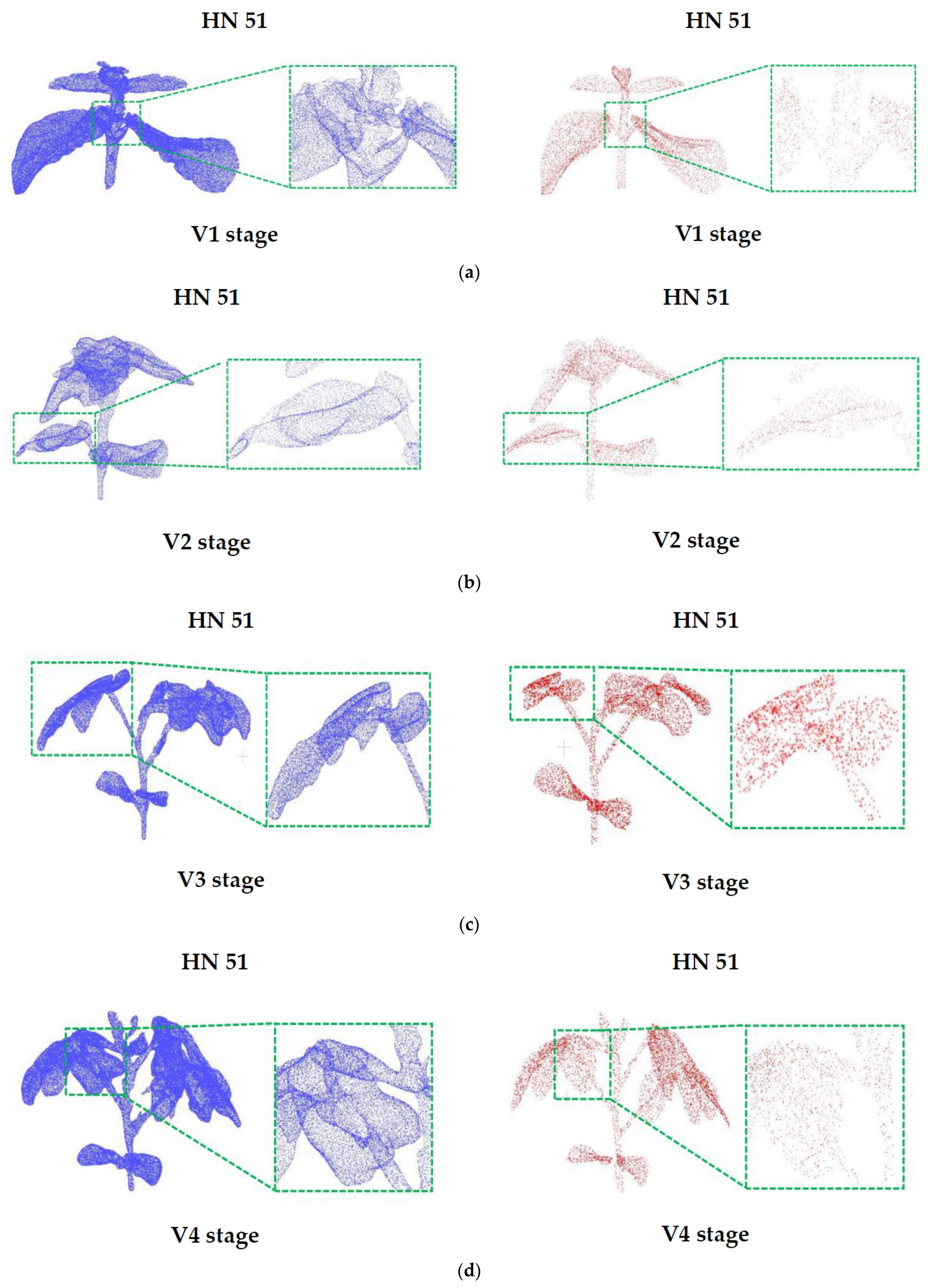 Agronomy 13 02388 g009a