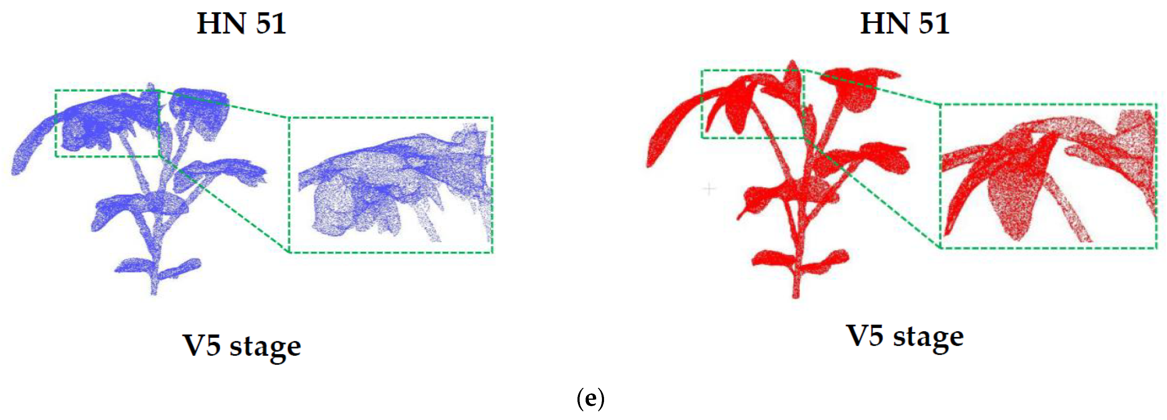 Agronomy 13 02388 g009b