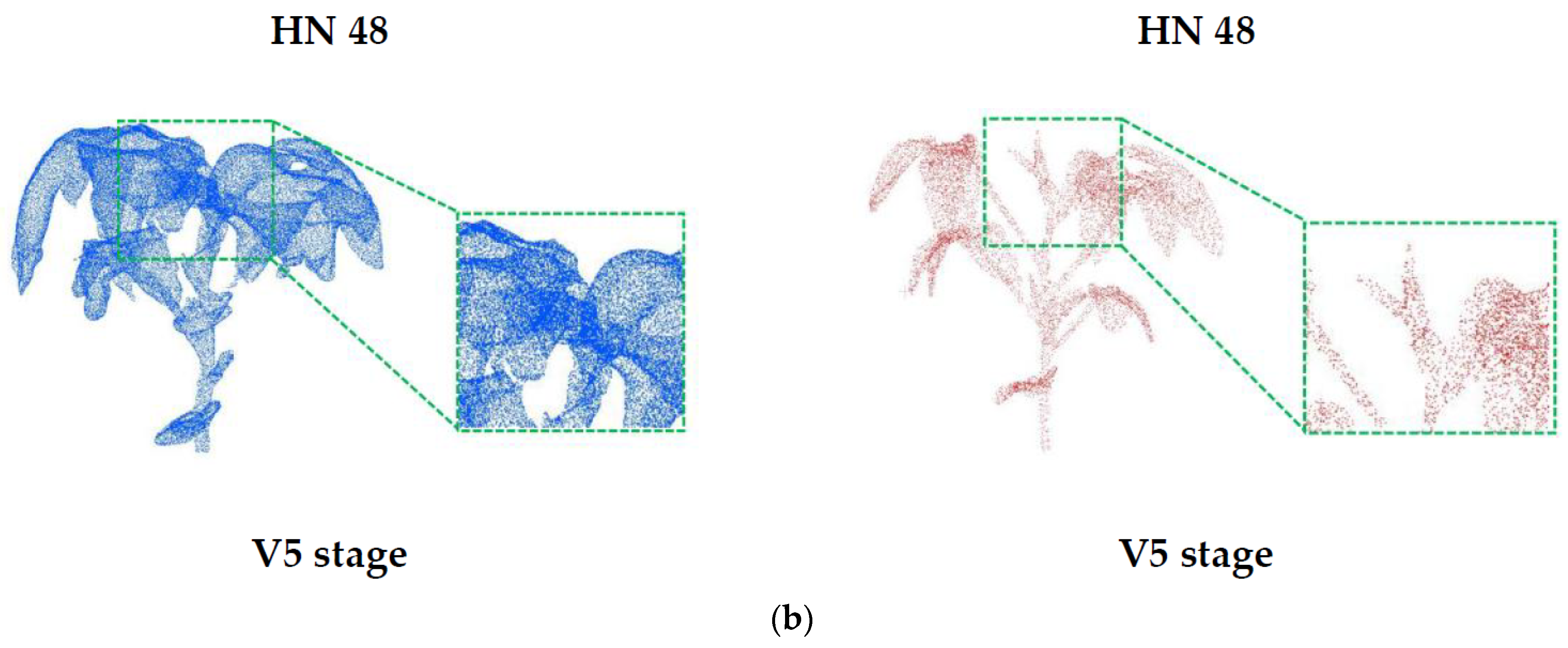 Agronomy 13 02388 g010b