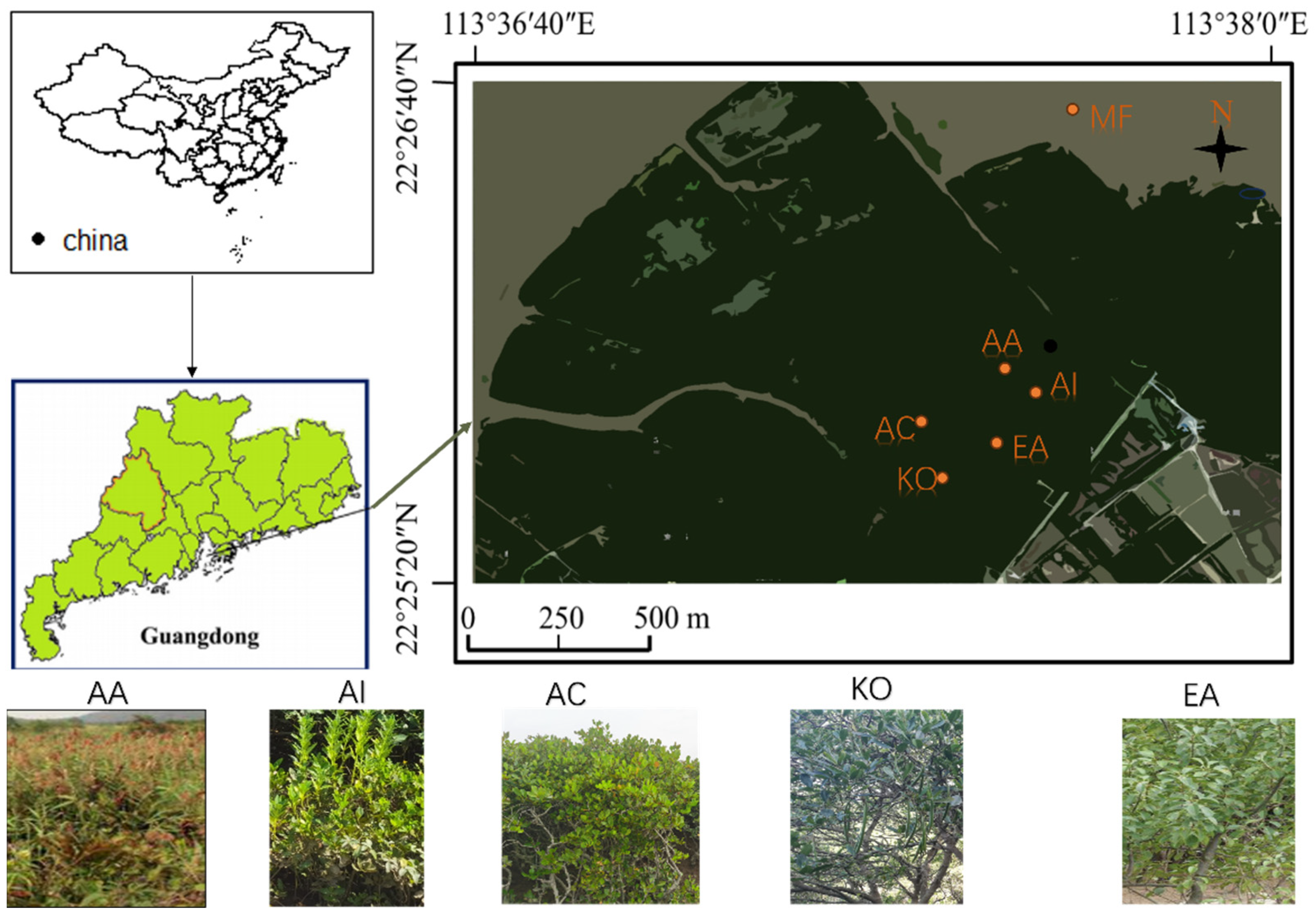 Agronomy 13 02389 g001