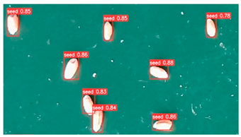 Agronomy 13 02391 i002