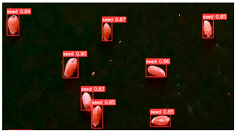 Agronomy 13 02391 i004