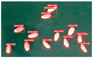 Agronomy 13 02391 i005