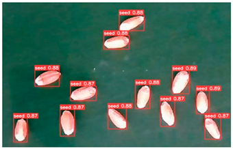 Agronomy 13 02391 i006