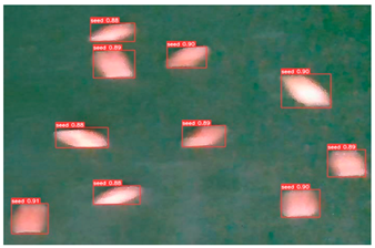 Agronomy 13 02391 i008