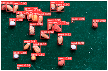 Agronomy 13 02391 i009