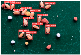 Agronomy 13 02391 i010