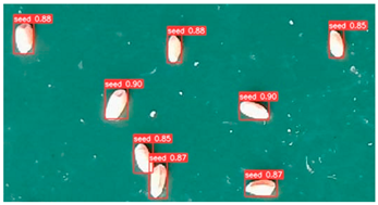 Agronomy 13 02391 i011