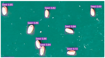Agronomy 13 02391 i012
