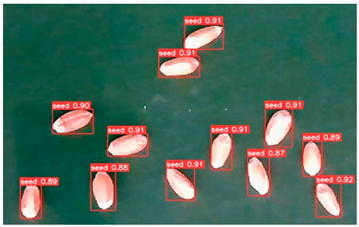 Agronomy 13 02391 i015