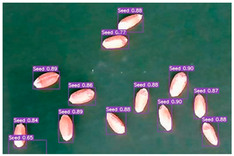 Agronomy 13 02391 i016