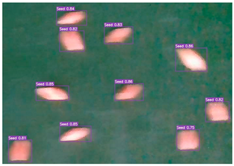 Agronomy 13 02391 i018