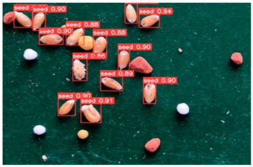 Agronomy 13 02391 i019