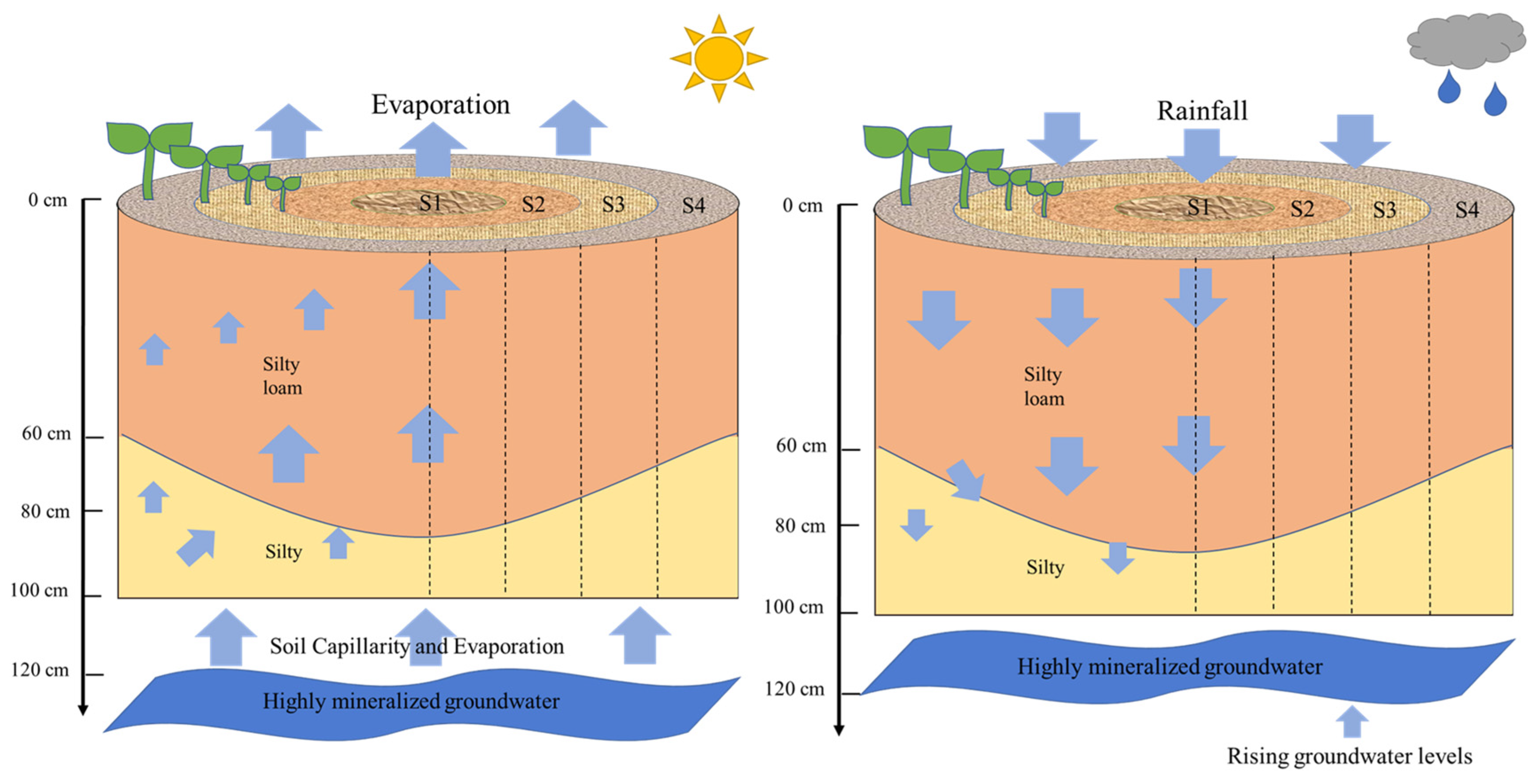 Agronomy 13 02403 g007