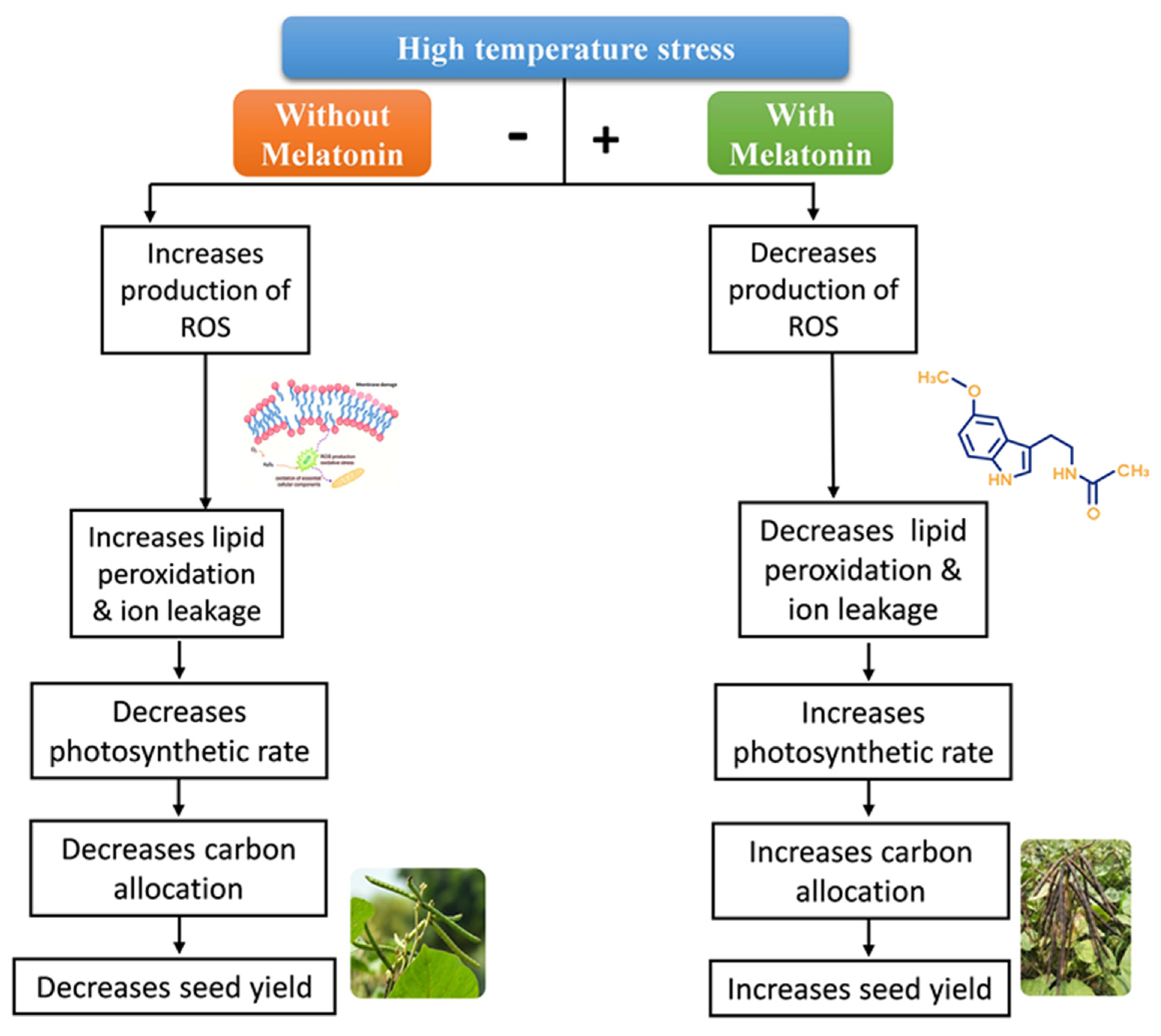 Agronomy 13 02405 g004 Agronomy 13 02405 g004