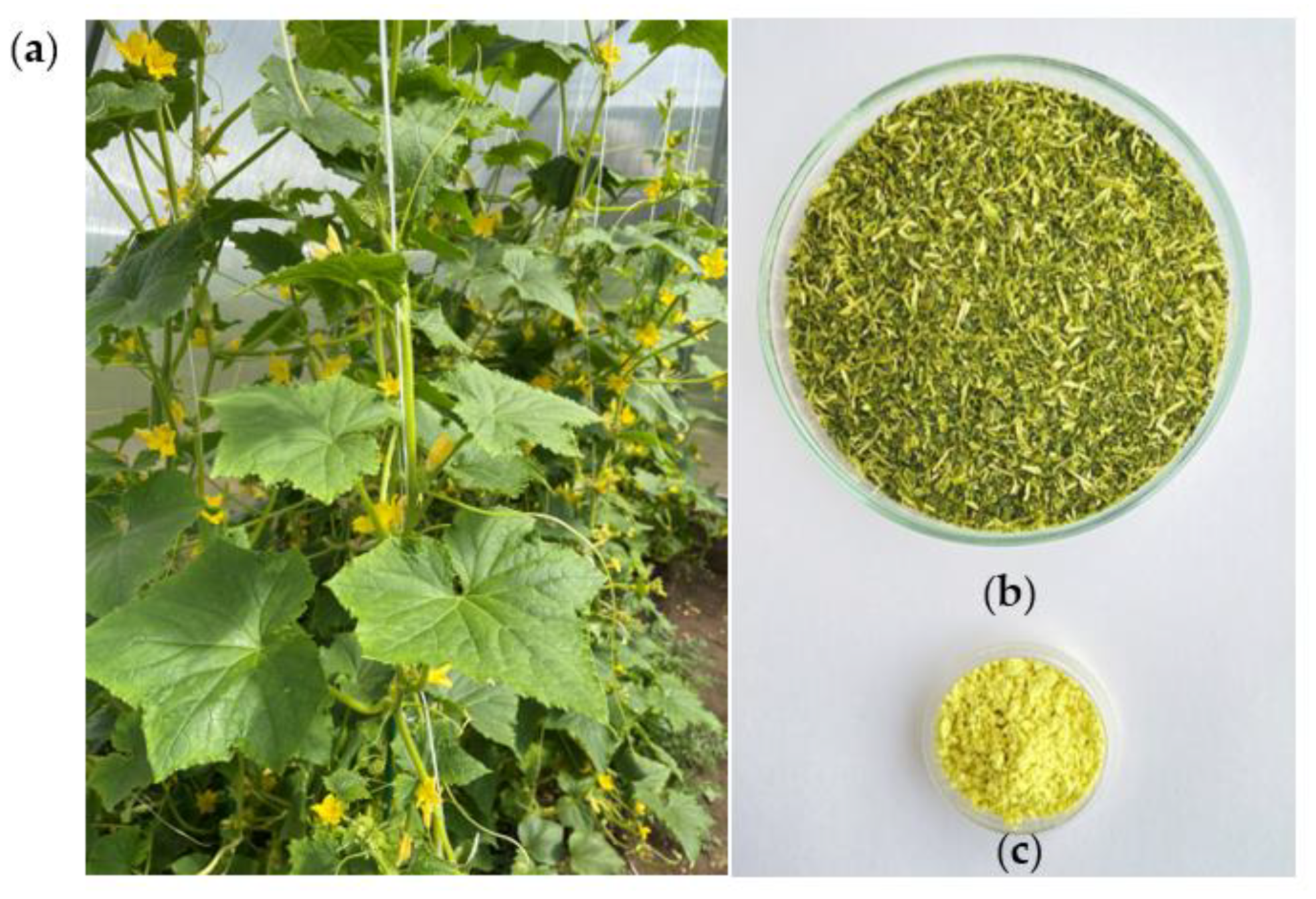 Agronomy 13 02410 g001