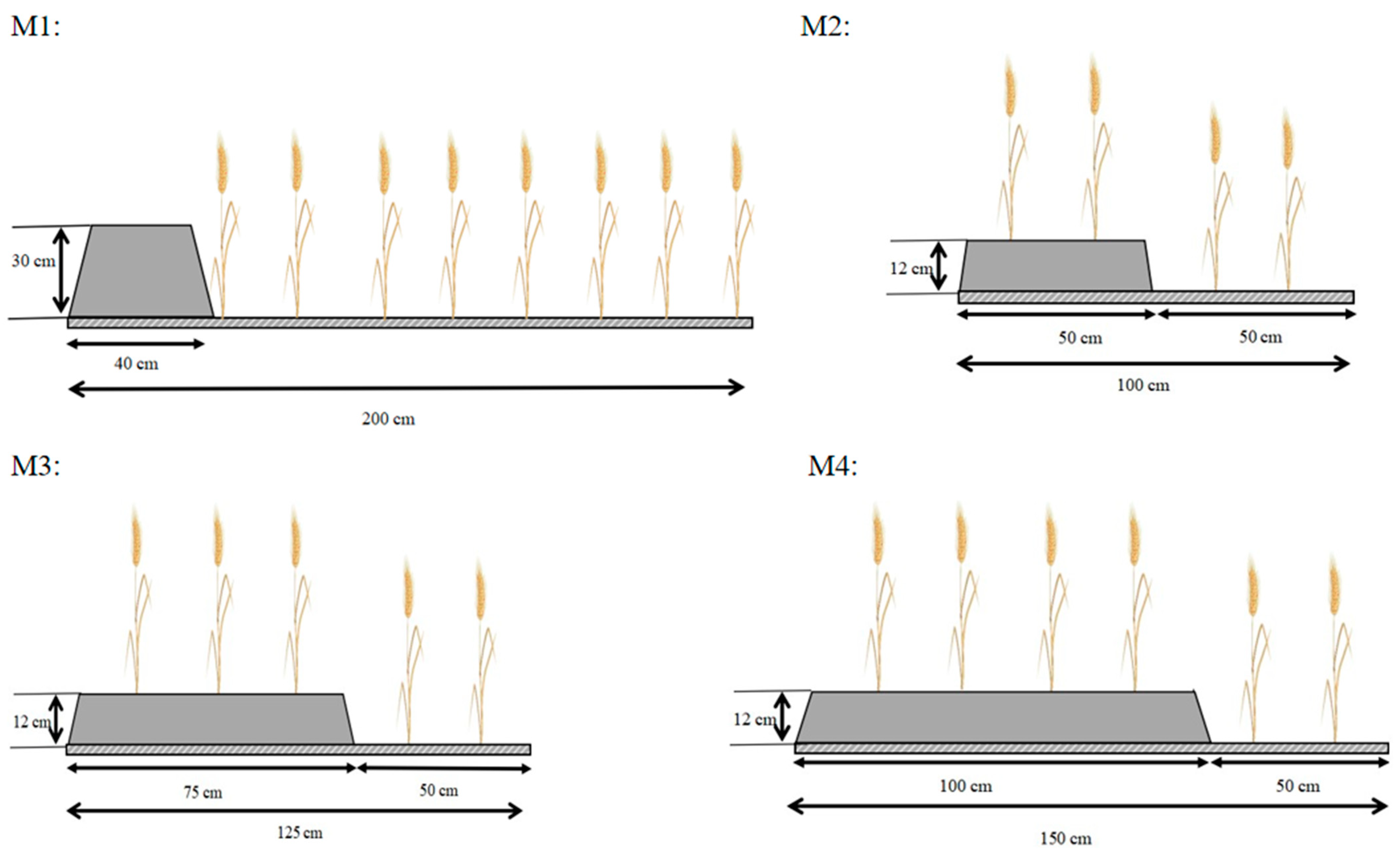Agronomy 13 02413 g002