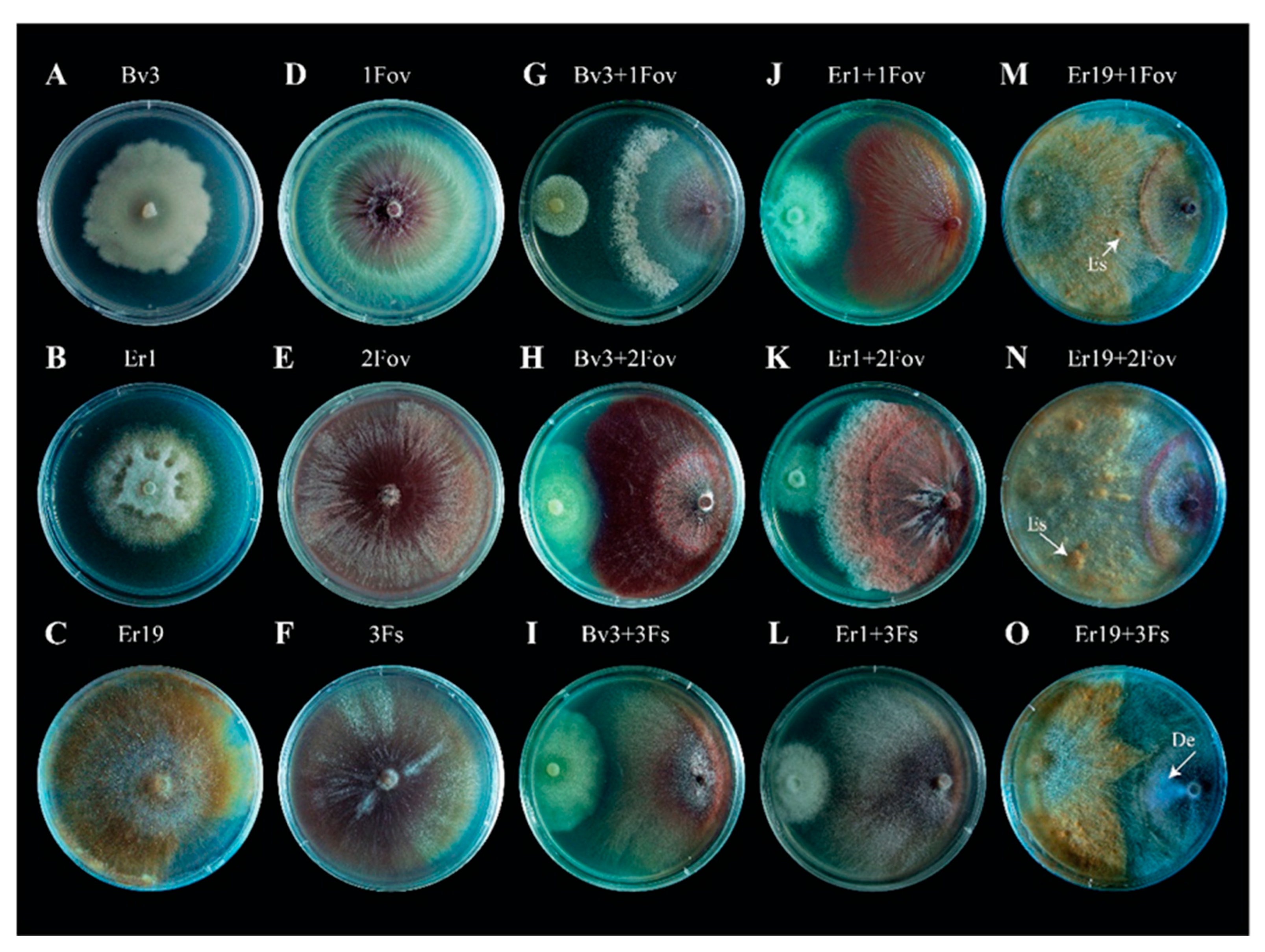 Agronomy 13 02425 g001