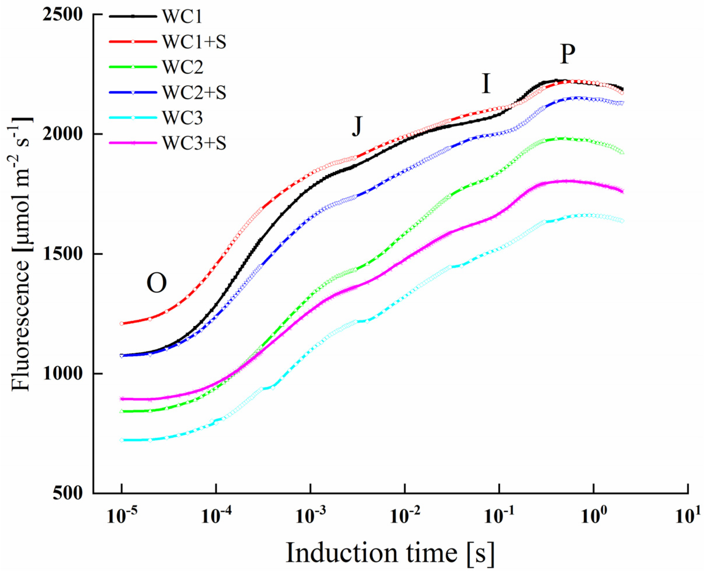 Agronomy 13 02434 g002