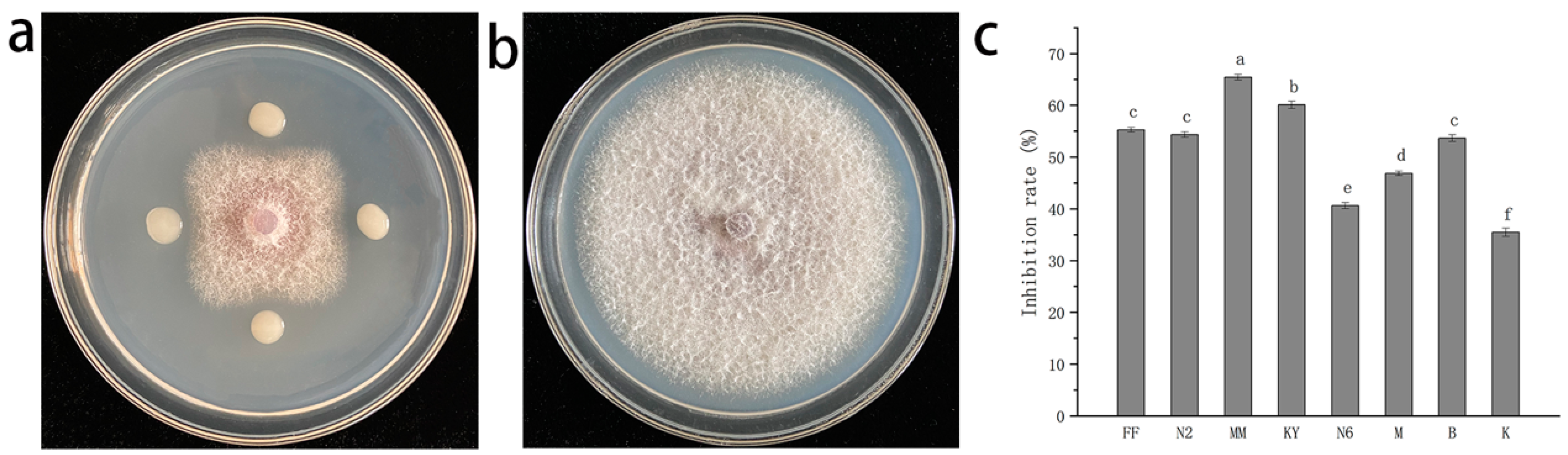 Agronomy 13 02437 g001