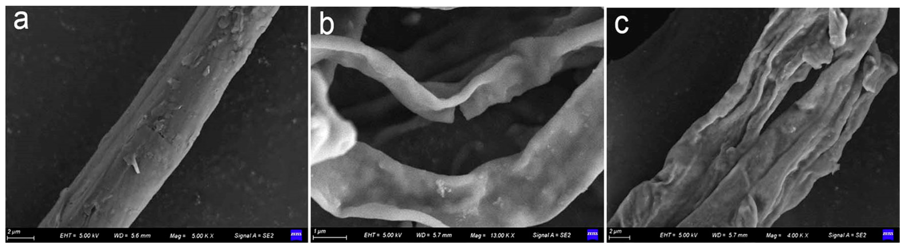 Agronomy 13 02437 g004