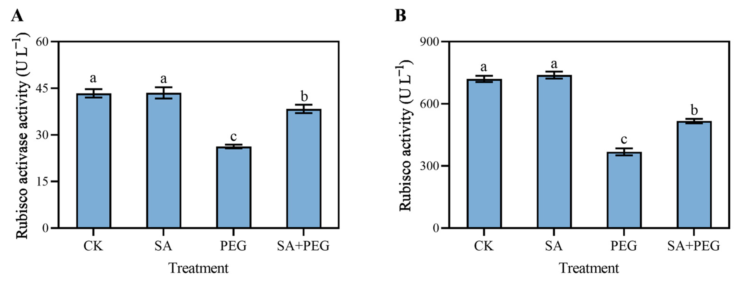 Agronomy 13 02443 g006