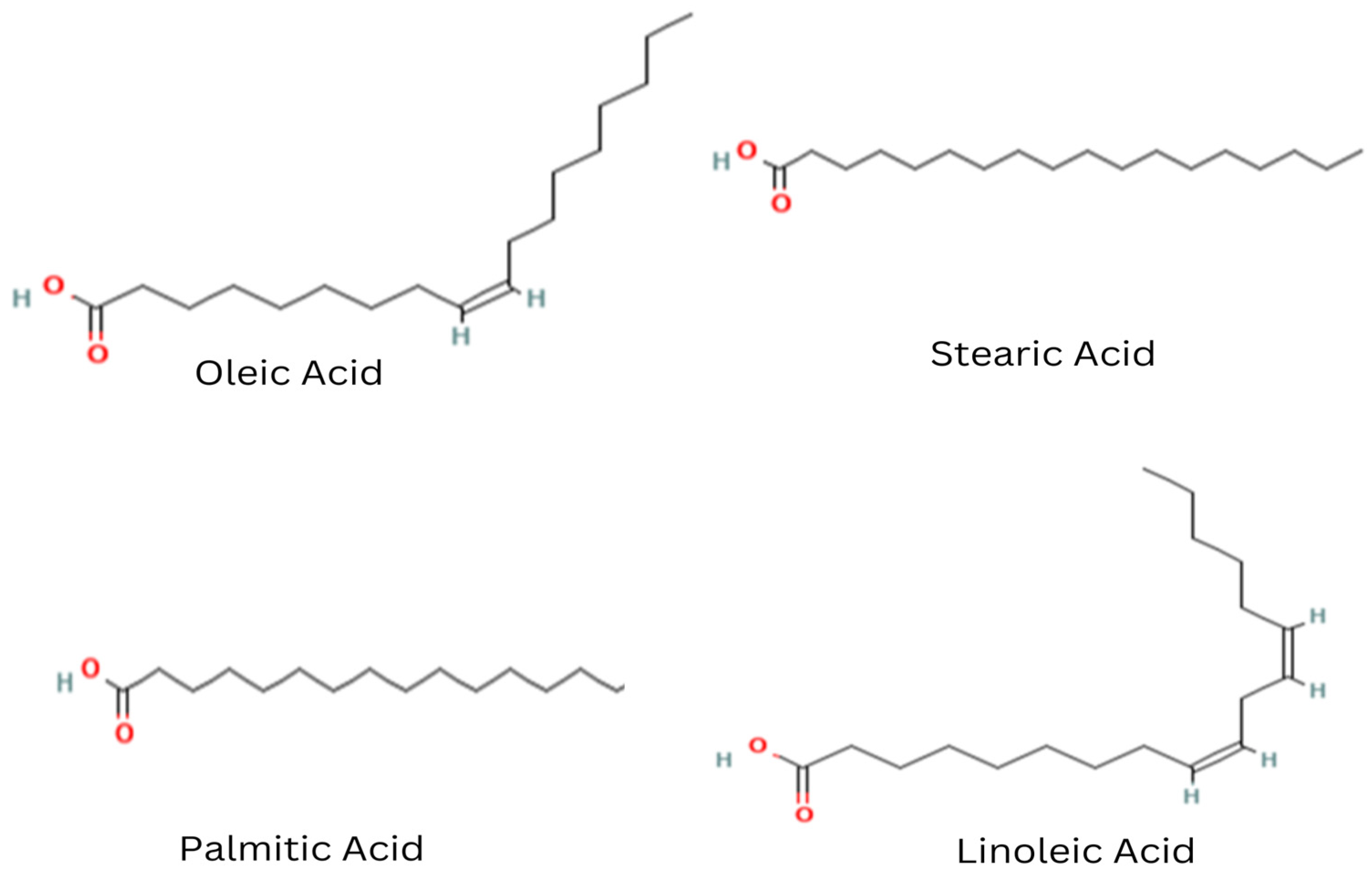 Agronomy 13 02445 g003