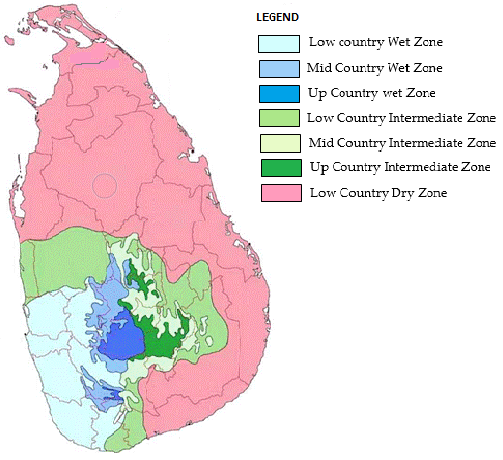 Agronomy 13 02445 g005