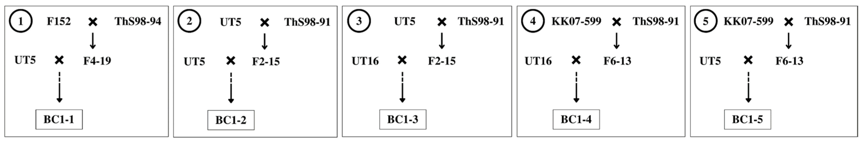 Agronomy 13 02457 g001