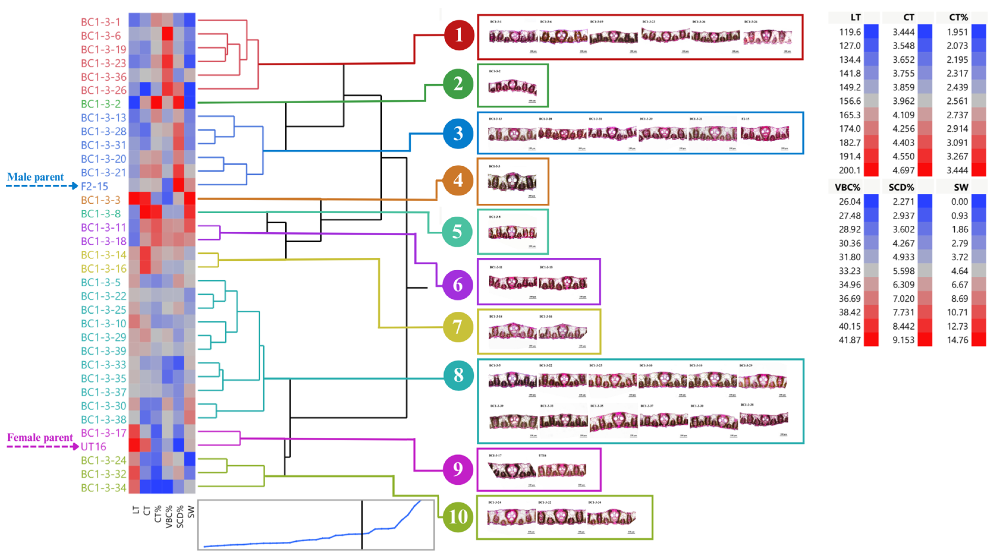 Agronomy 13 02457 g006