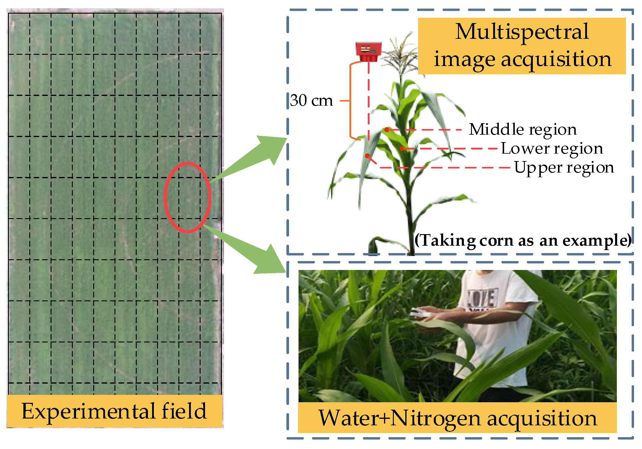 Agronomy 13 02464 g001