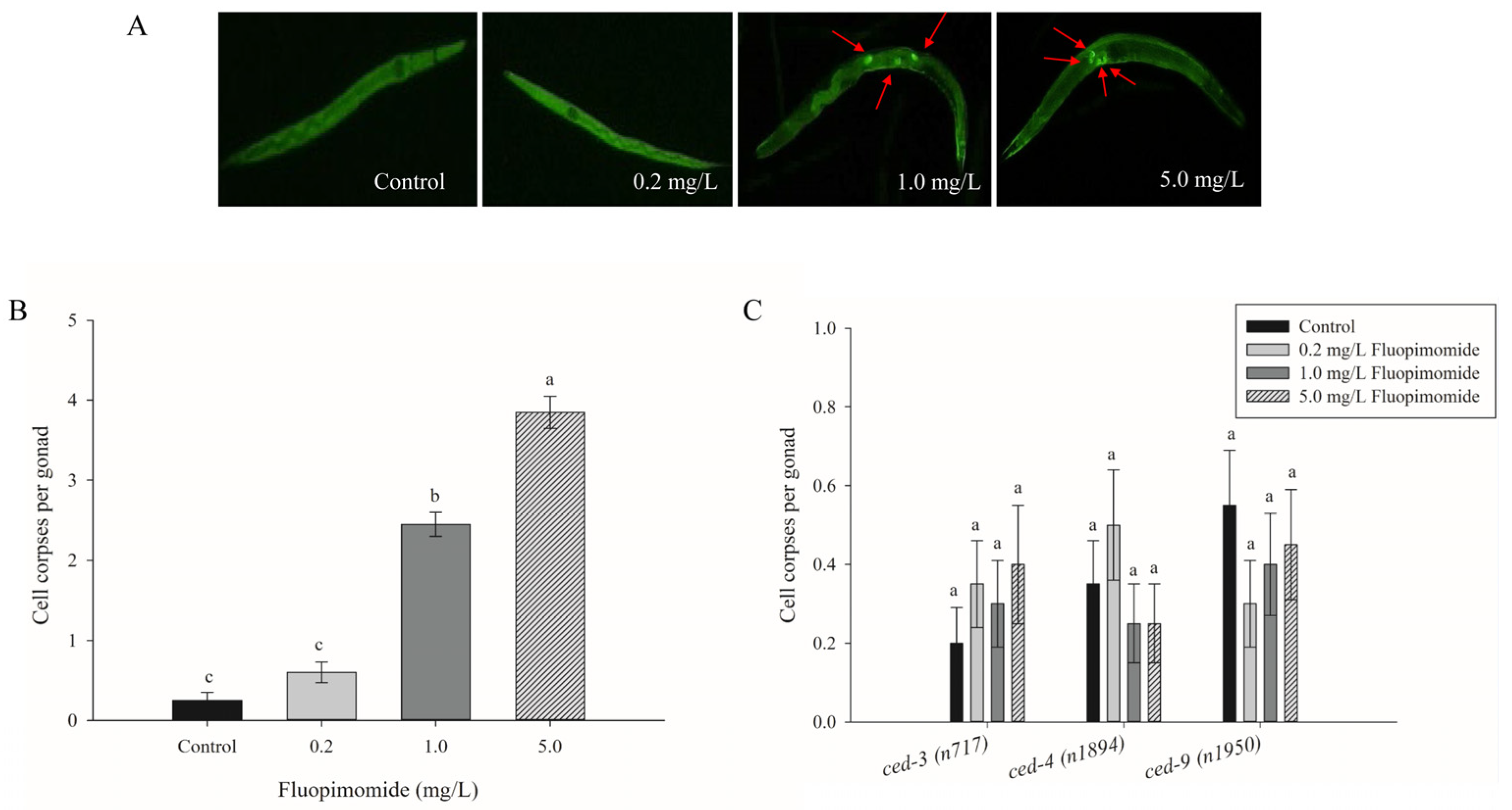 Agronomy 13 02471 g005