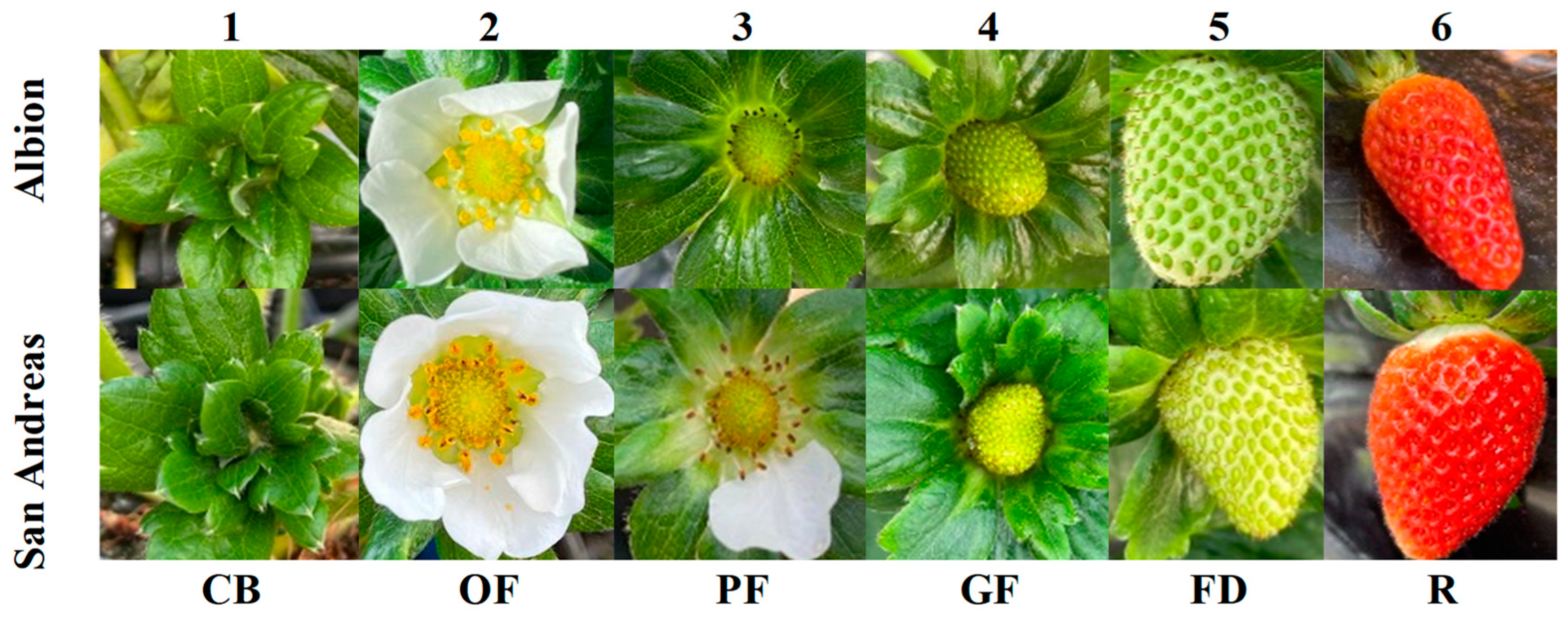 Agronomy 13 02489 g003