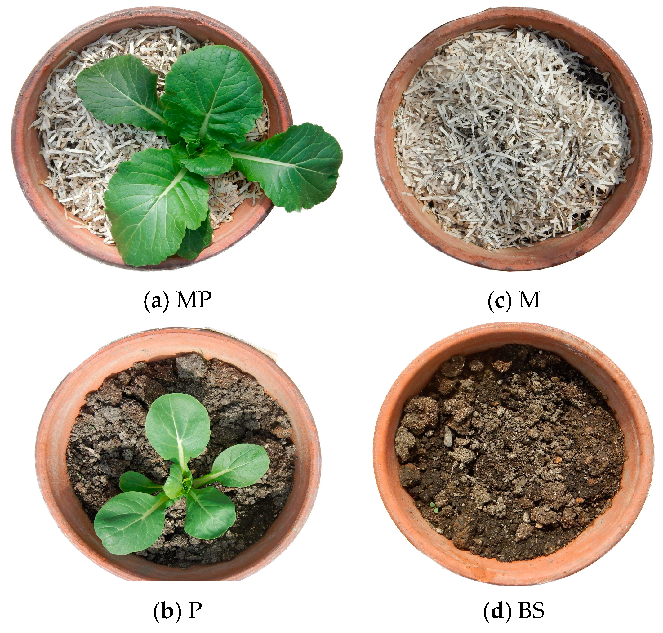 Agronomy 13 02502 g003