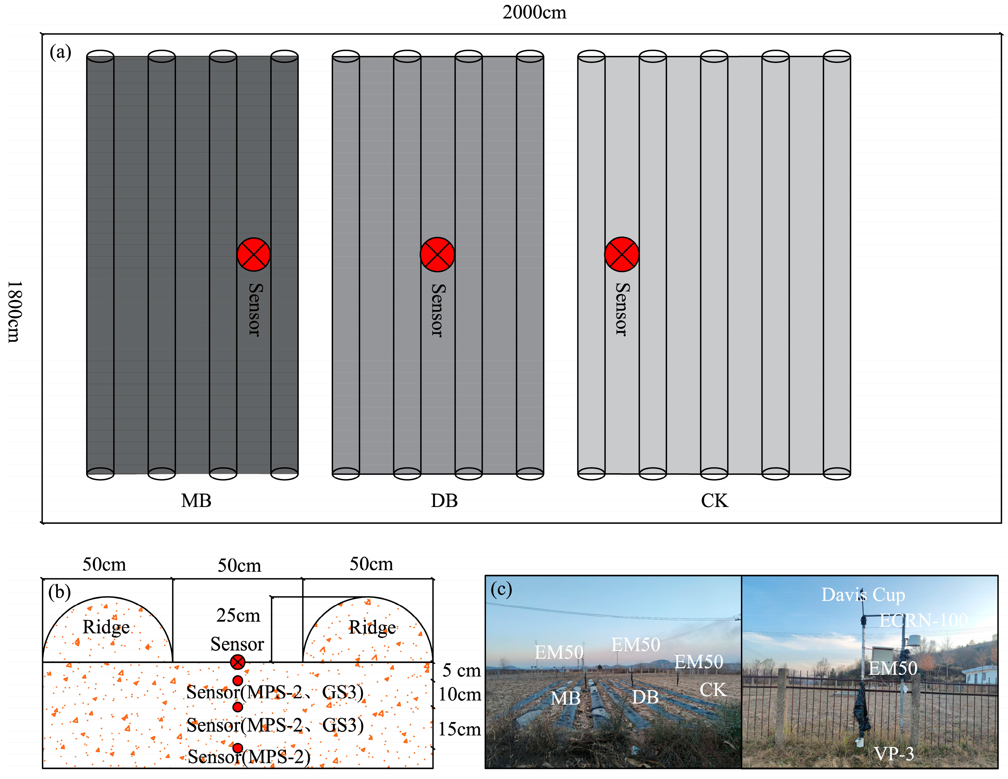 Agronomy 13 02513 g002