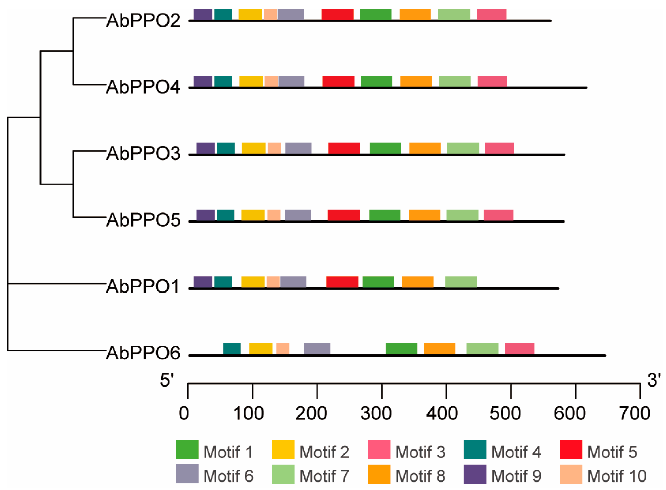 Agronomy 13 02534 g003