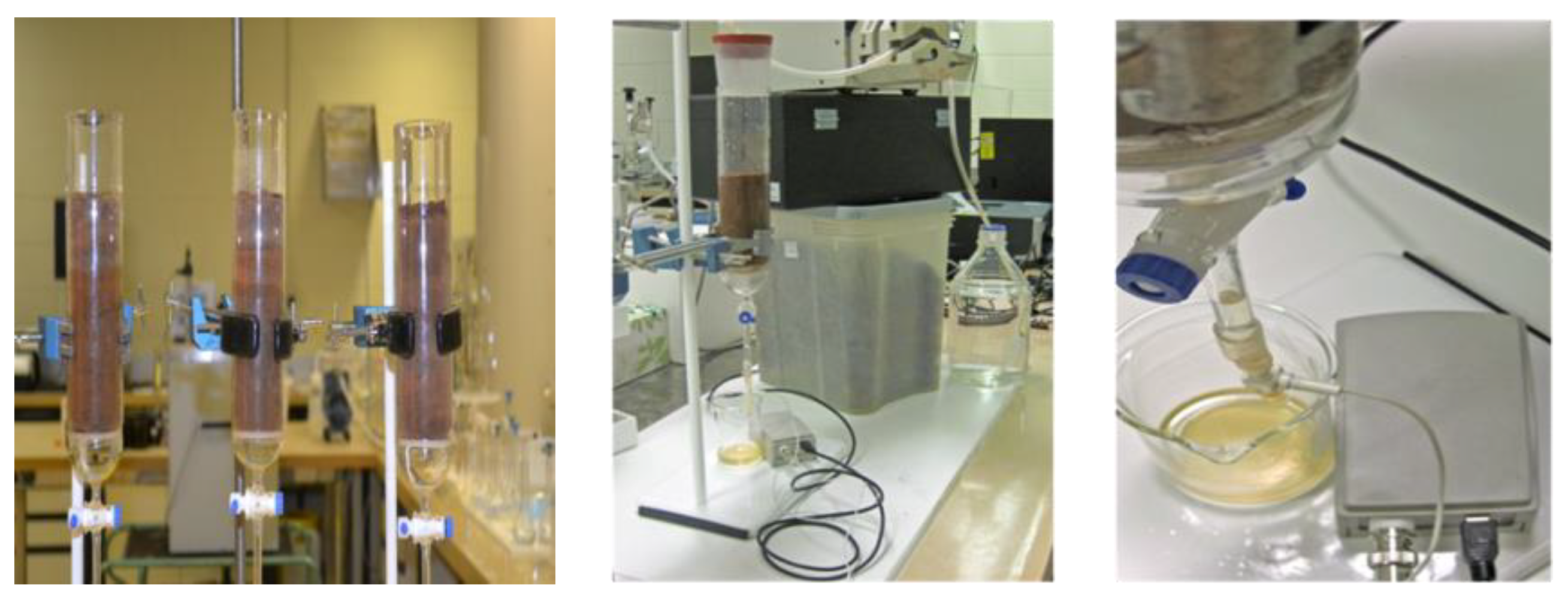 Agronomy 13 02539 g001