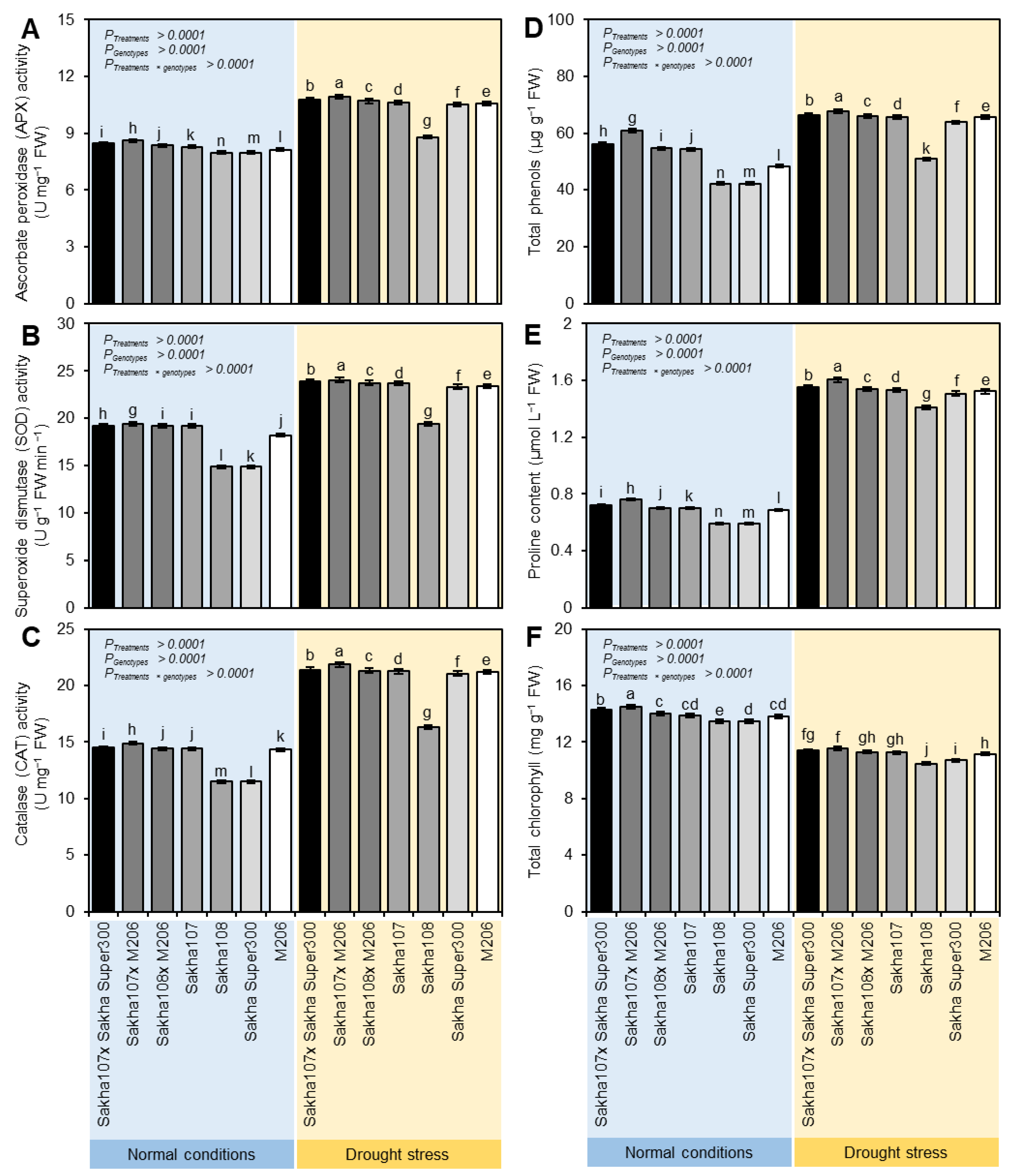 Agronomy 13 02542 g001