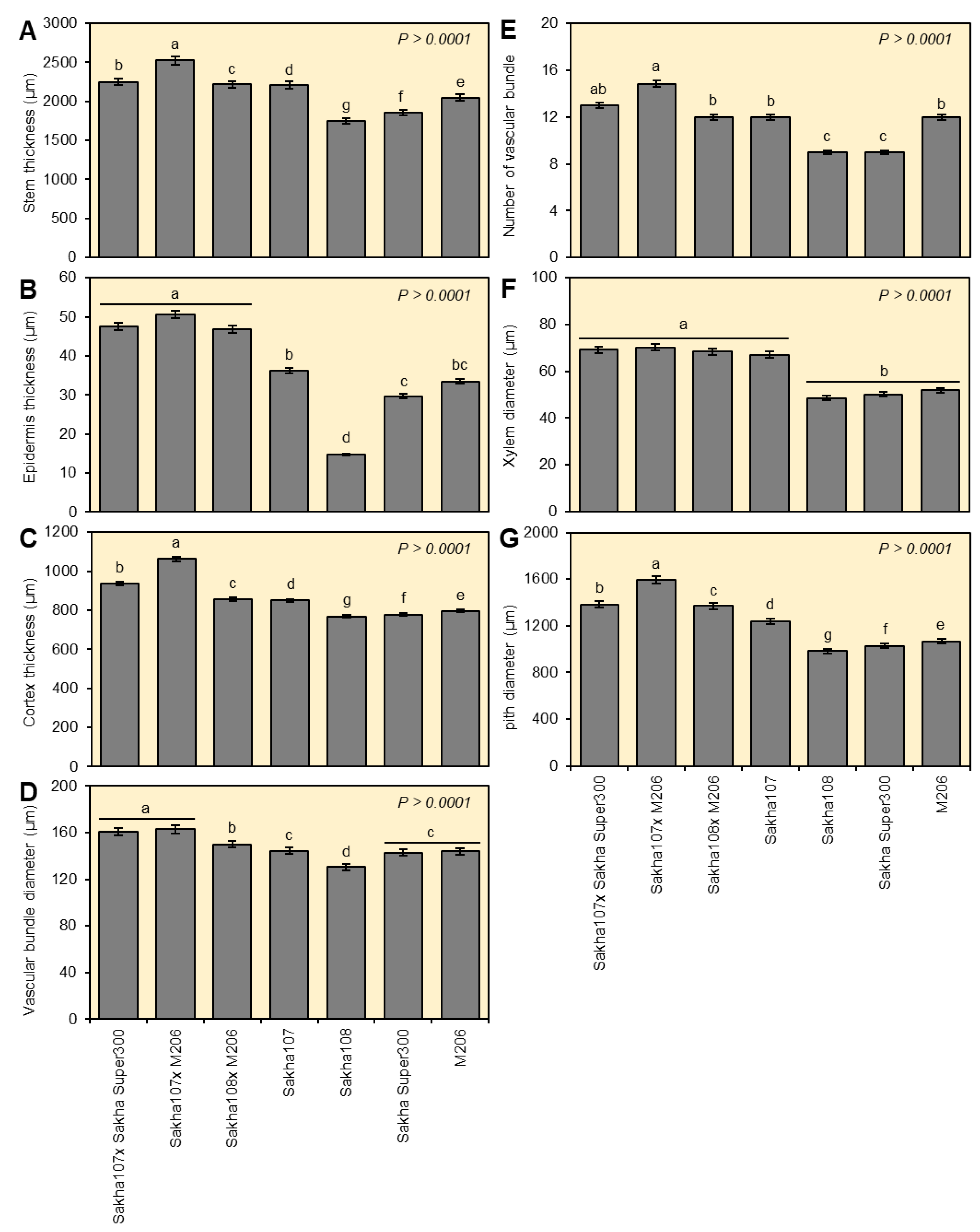 Agronomy 13 02542 g003